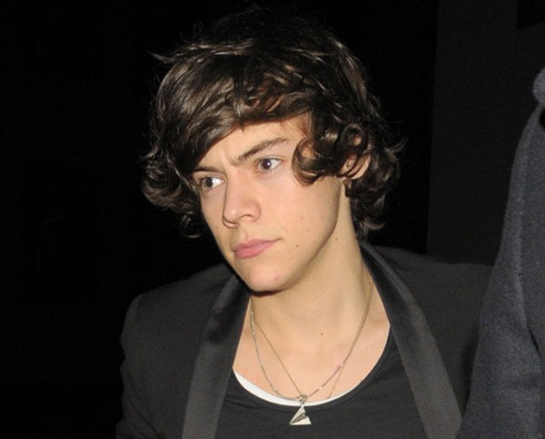 One Direction heartthrob Harry Styles has been linked to yet another new
